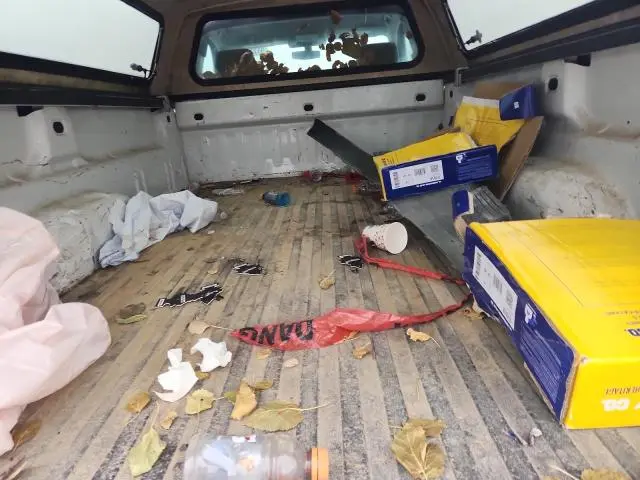 2017 CHEVROLET SILVERADO C1500  