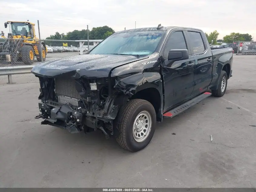 2024 CHEVROLET SILVERADO 1500 4WD  STANDARD BED WT