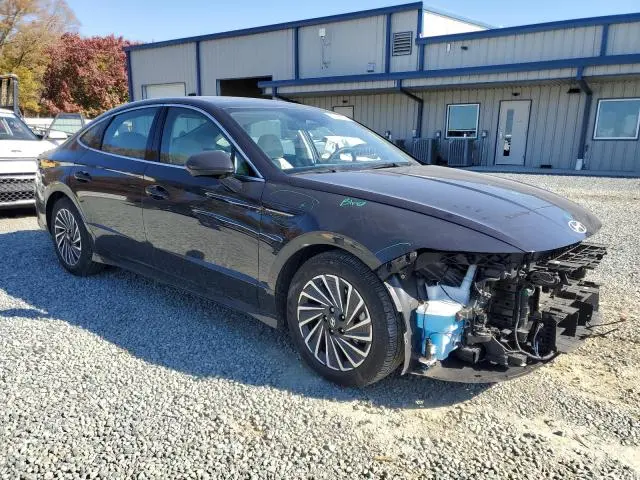 2024 HYUNDAI SONATA HYBRID  