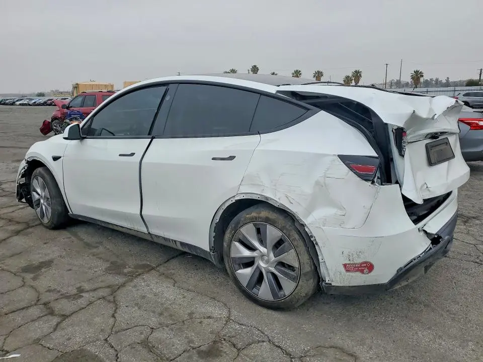2024 TESLA MODEL Y   