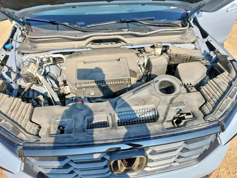 2024 HONDA PILOT SPORT  