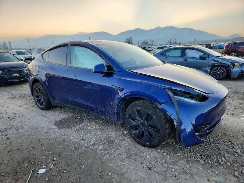 2025 TESLA MODEL Y   