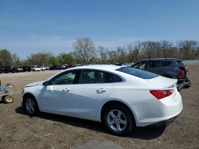 2024 CHEVROLET MALIBU LS  