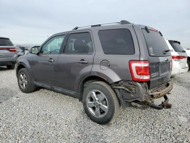 2011 FORD ESCAPE LIMITED  
