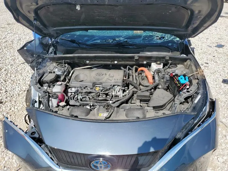 2021 TOYOTA VENZA LE  