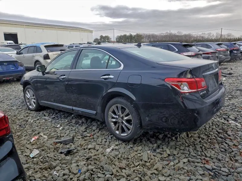 2010 LEXUS ES 350  