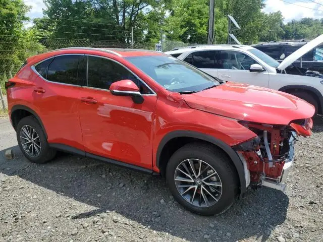 2022 LEXUS NX 350  
