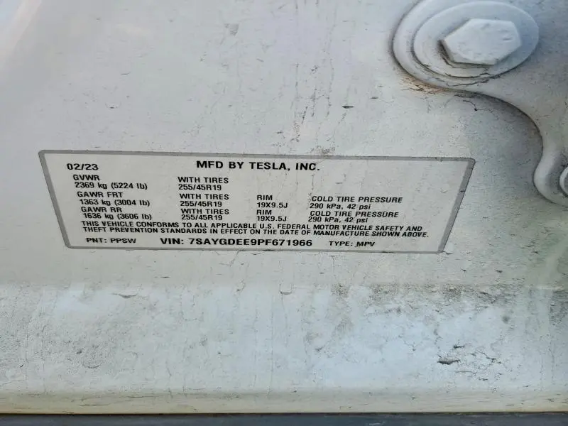 2023 TESLA MODEL Y   
