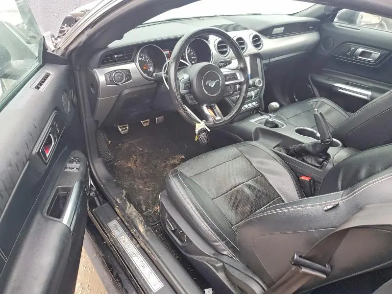 2019 FORD MUSTANG GT  