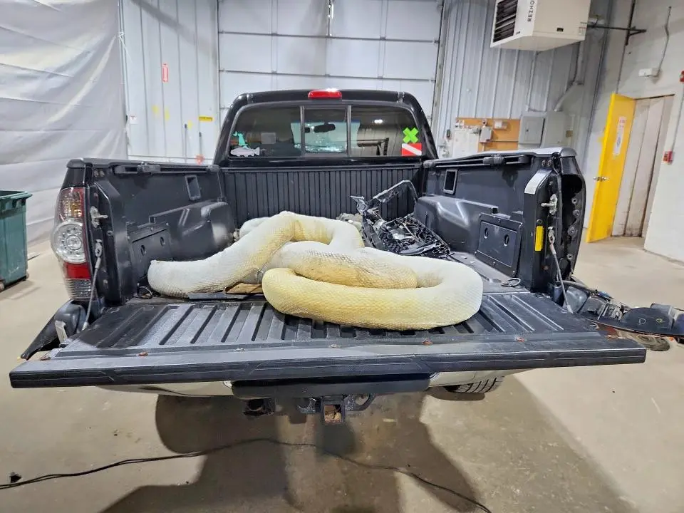 2011 TOYOTA TACOMA V6  