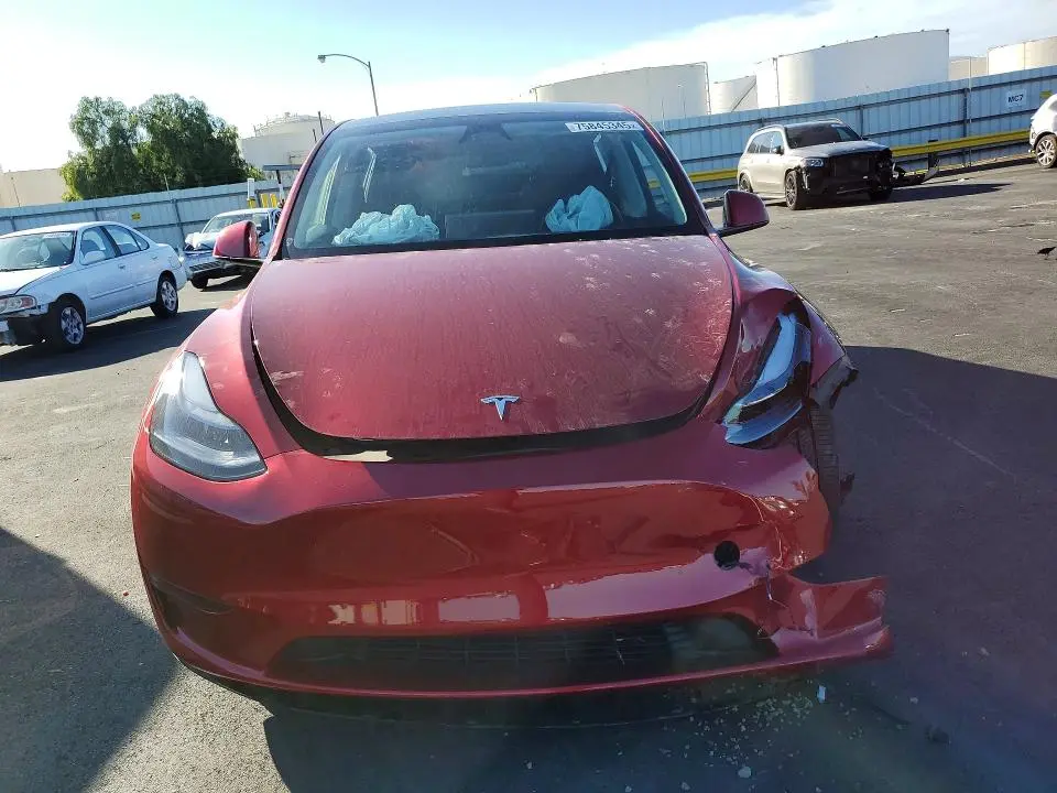 2024 TESLA MODEL Y   