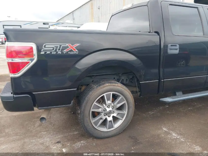 2014 FORD F-150 STX
