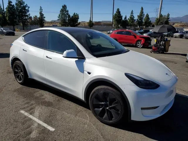 2025 TESLA MODEL Y   