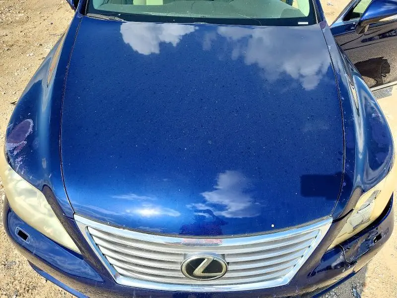2010 LEXUS LS 460L  