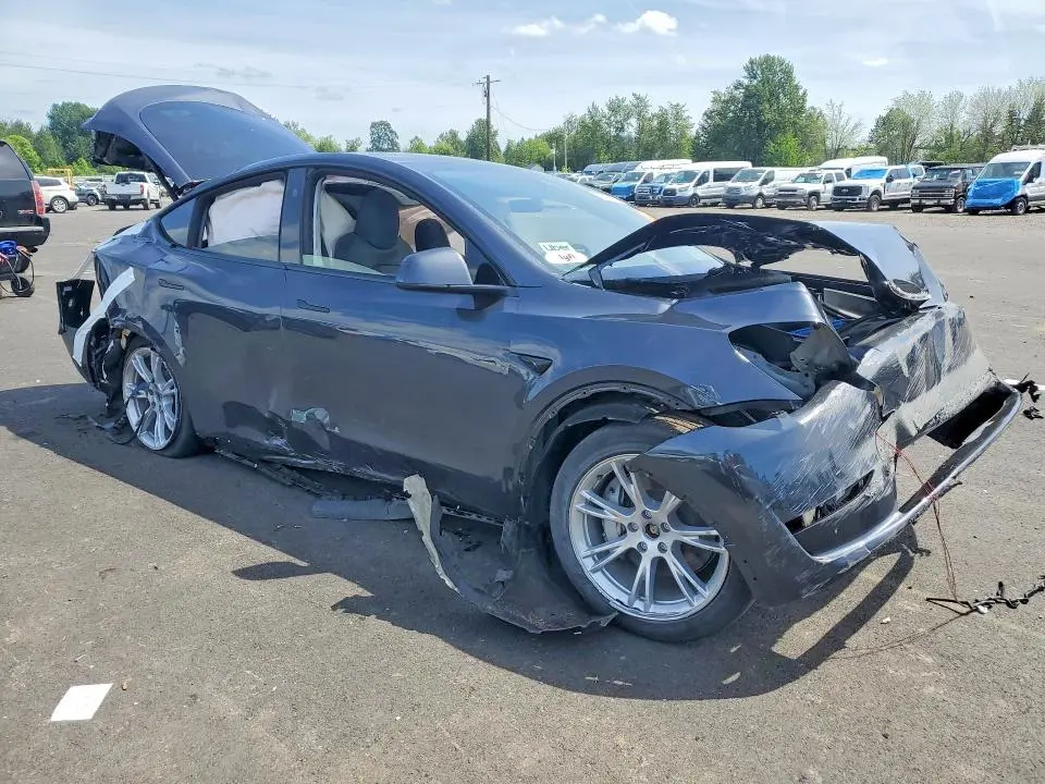 2024 TESLA MODEL Y   