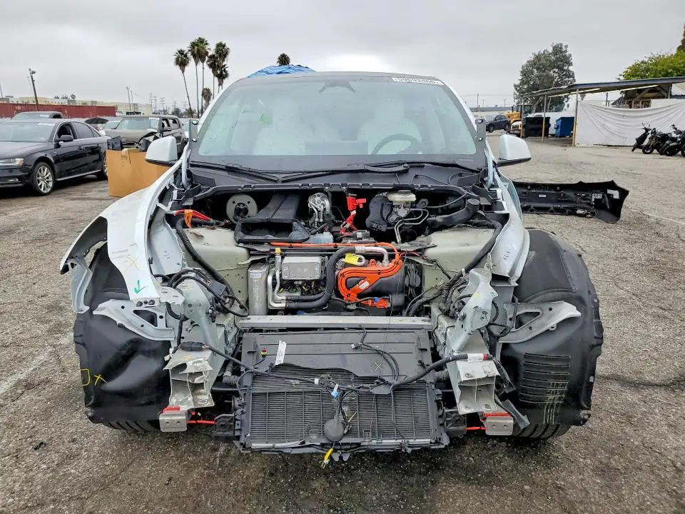 2024 TESLA MODEL Y   