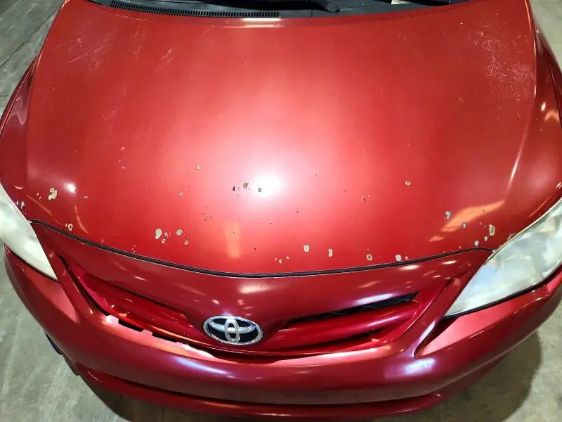 2011 TOYOTA COROLLA LE  