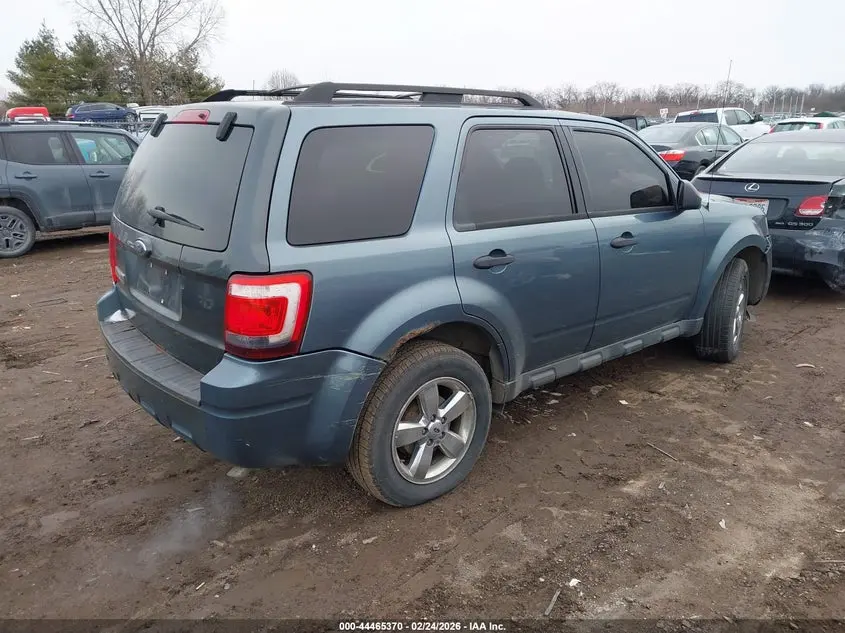2011 FORD ESCAPE XLT