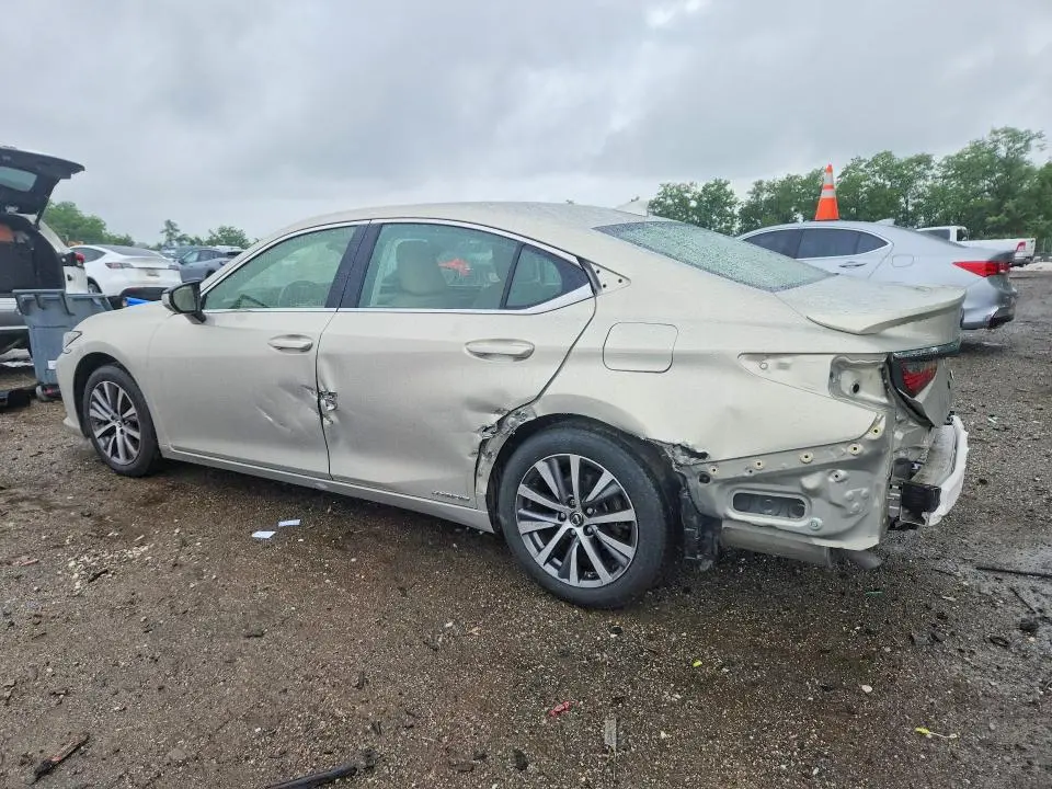 2019 LEXUS ES 300H  
