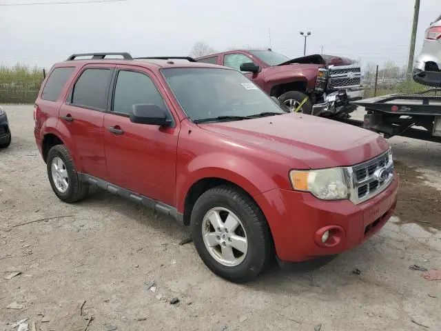 2010 FORD ESCAPE XLT