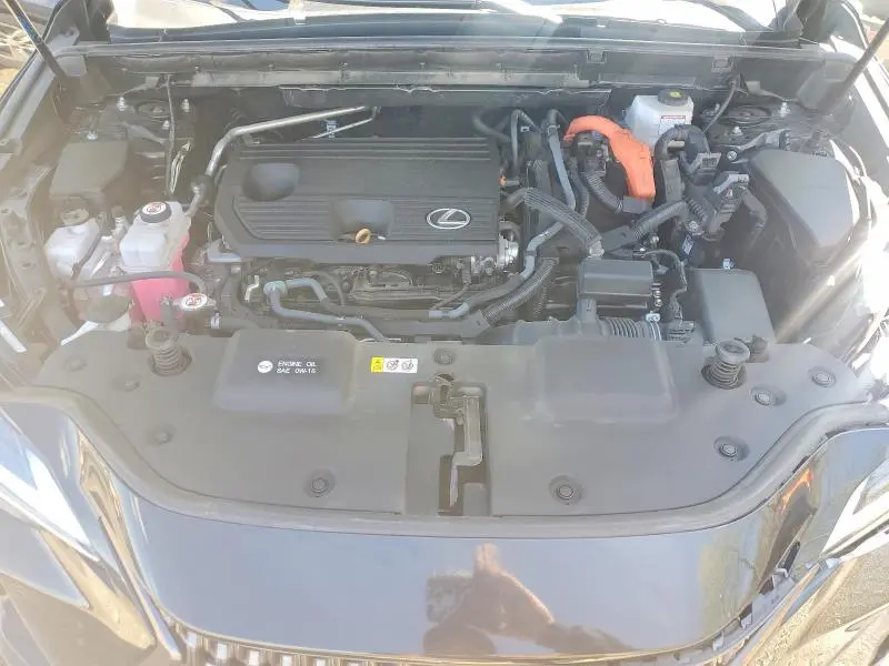 2024 LEXUS NX 350H PREMIUM  