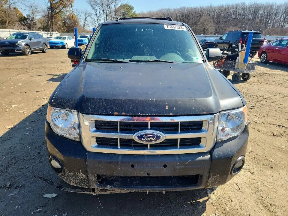2010 FORD ESCAPE LIMITED  