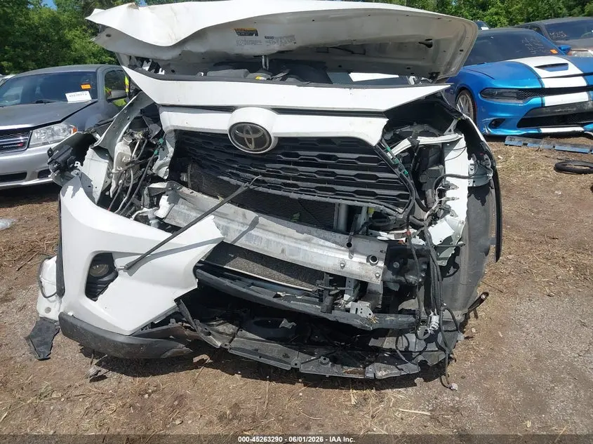 2019 TOYOTA RAV4 XLE