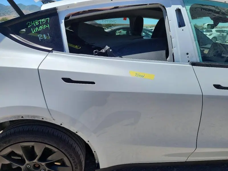 2025 TESLA MODEL Y   