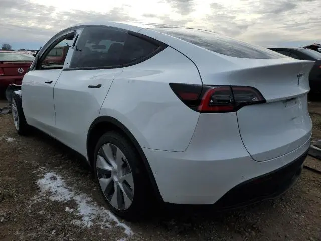 2021 TESLA MODEL Y   