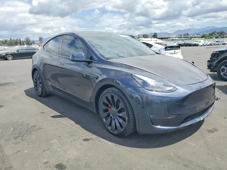 2024 TESLA MODEL Y   