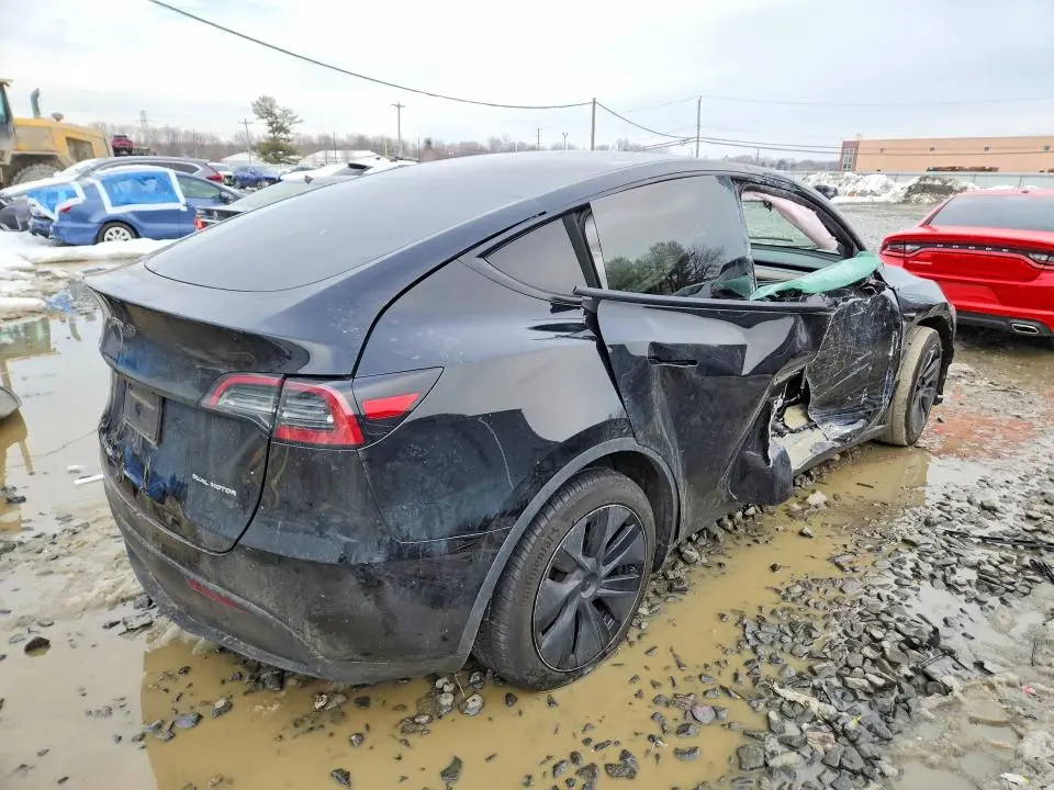 2025 TESLA MODEL Y   