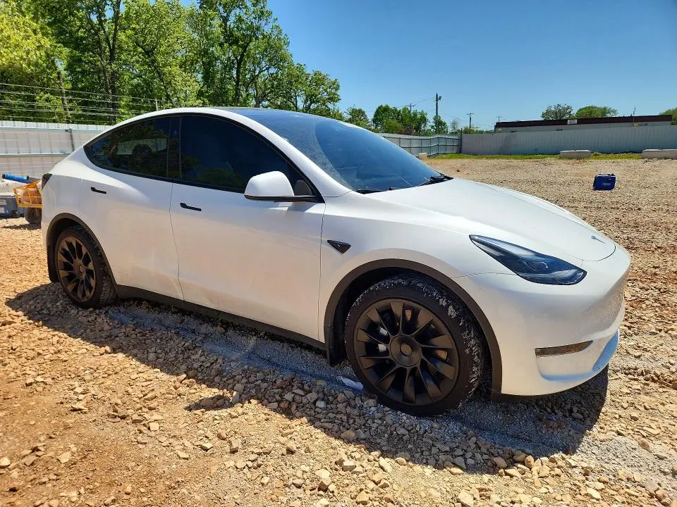 2024 TESLA MODEL Y   