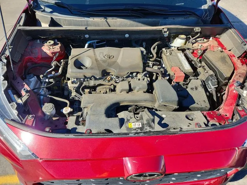 2024 TOYOTA RAV4 LE  