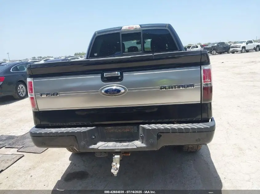 2013 FORD F-150 PLATINUM