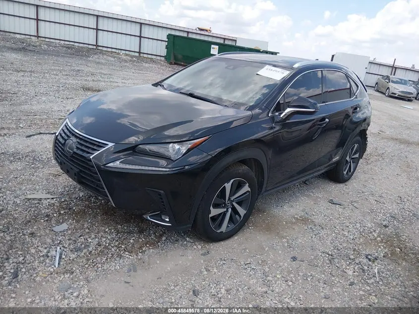 2019 LEXUS NX 300H  