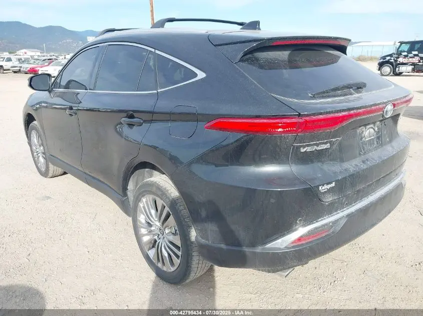 2024 TOYOTA VENZA XLE
