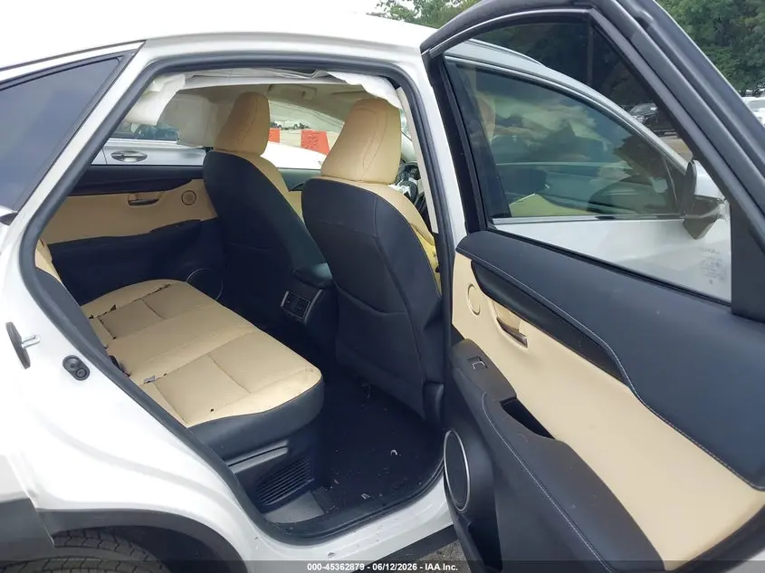 2019 LEXUS NX 300  