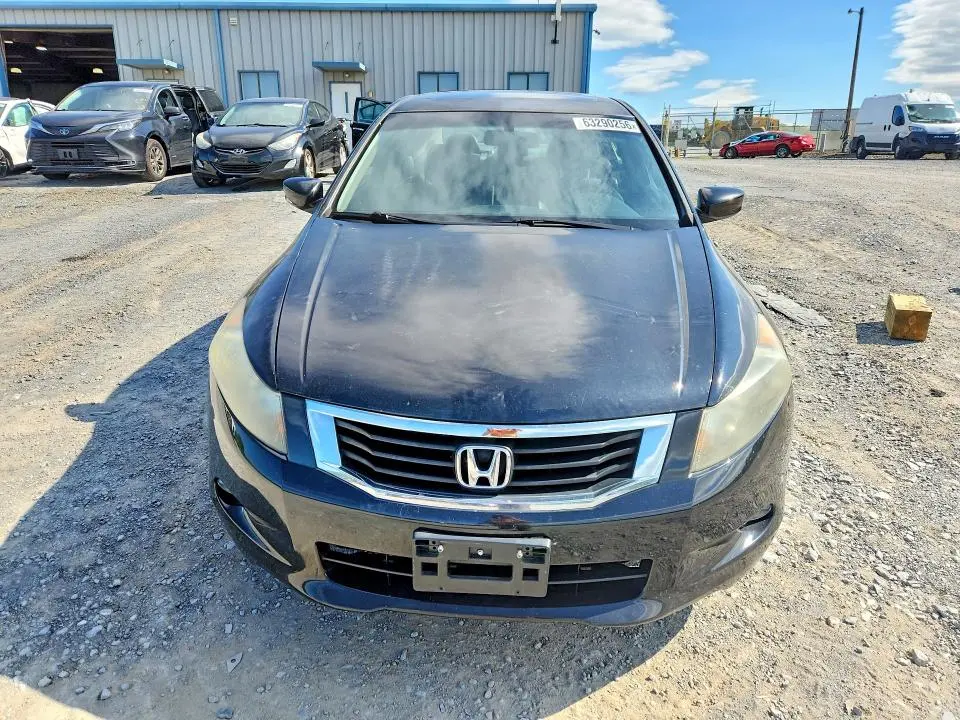 2010 HONDA ACCORD EXL  