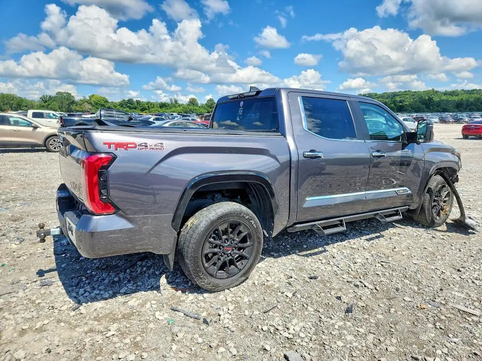 2025 TOYOTA TUNDRA 1794 EDITION HV  