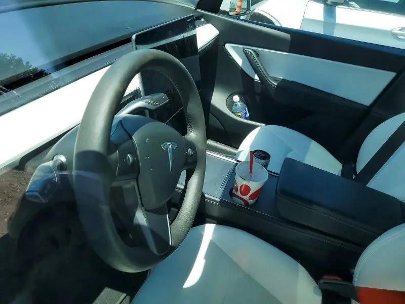 2021 TESLA MODEL Y   