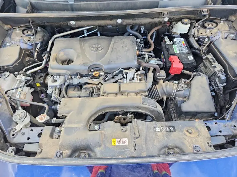 2019 TOYOTA RAV4 XLE  