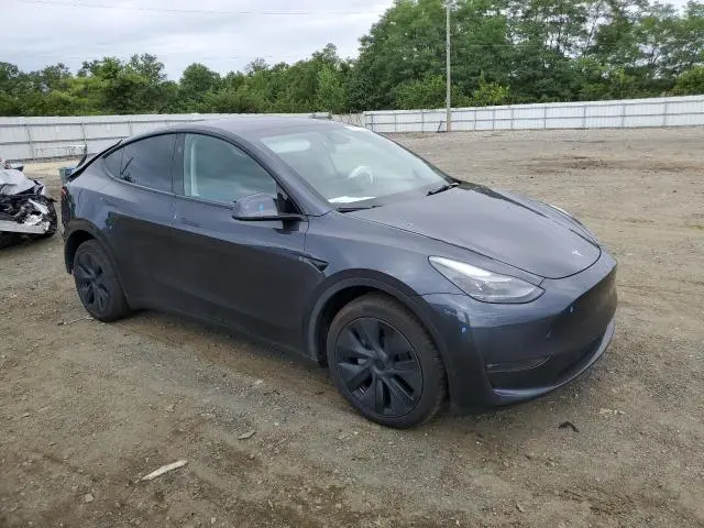 2025 TESLA MODEL Y   