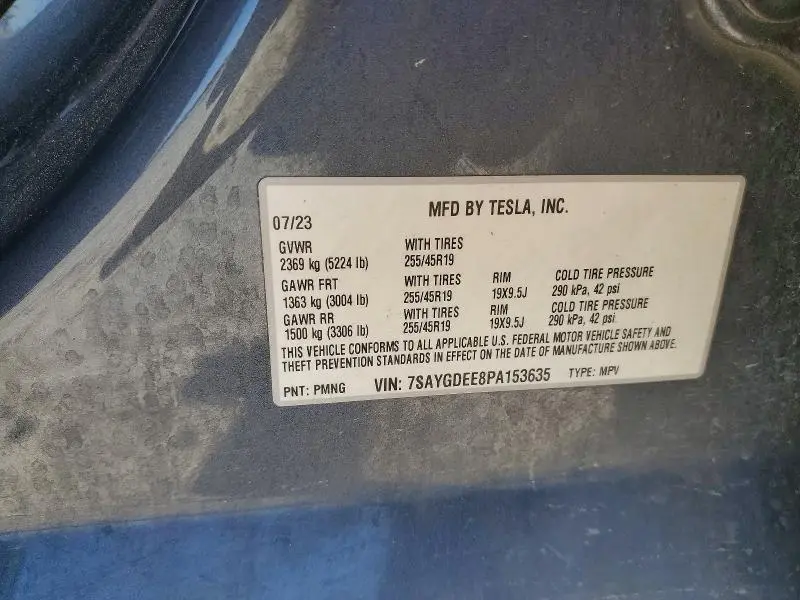 2023 TESLA MODEL Y   