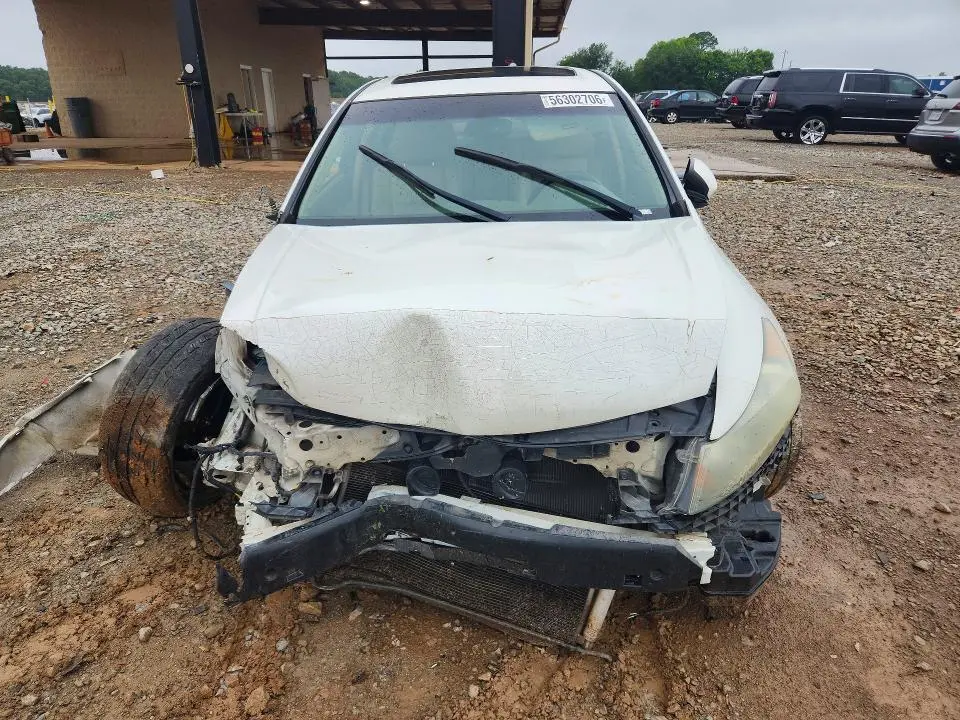 2010 HONDA ACCORD EXL  