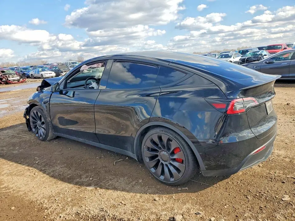 2024 TESLA MODEL Y   