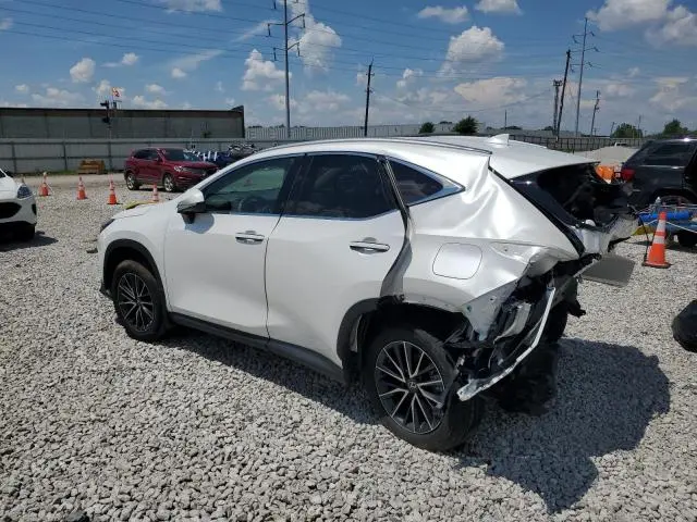 2024 LEXUS NX 350 BASE  
