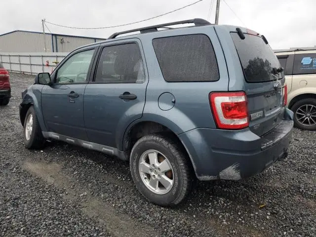 2011 FORD ESCAPE XLT  
