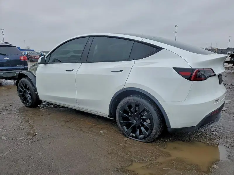 2021 TESLA MODEL Y   