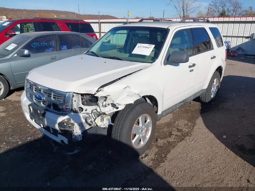 2012 FORD ESCAPE XLT