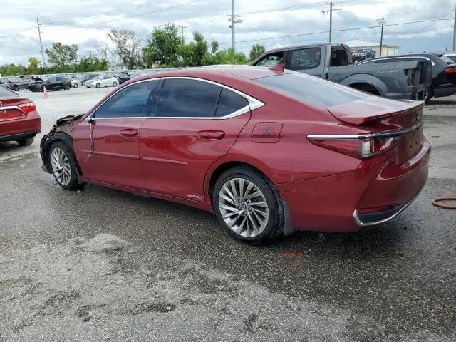 2020 LEXUS ES 300H ULTRA LUXURY  